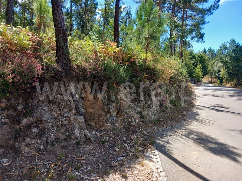Terreno  Barcelos, Tamel (Santa Leocádia) e Vilar do Monte - 1424486 - 2