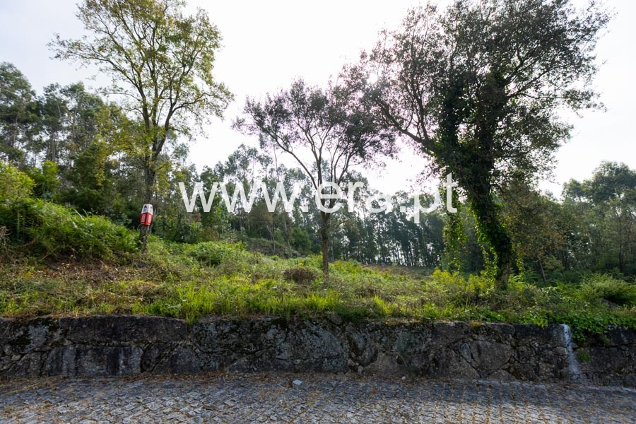 Terreno Rústico / Barcelos, Viatodos, Grimancelos, Minhotães e Monte de Fralães