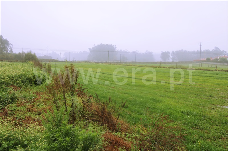 Terreno / Barcelos, Vila Seca