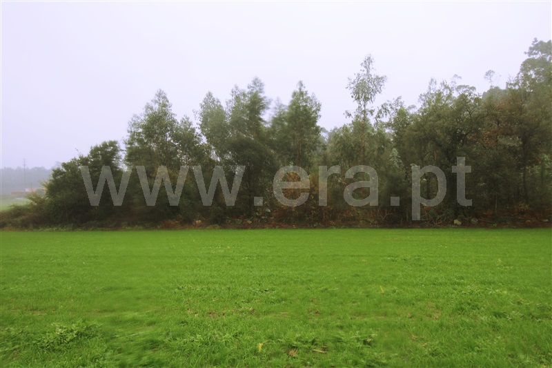 Terreno  Barcelos, Vila Seca - 1217236 - 2