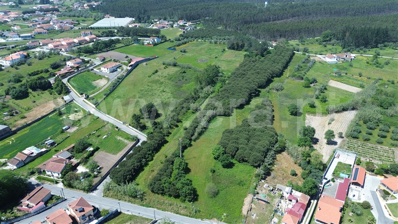 Terreno  Batalha - 1398954 - 3
