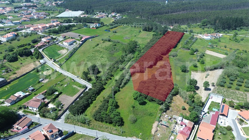 Terreno  Batalha - 1398954 - 7