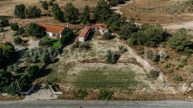 Terreno / Belmonte, Caria