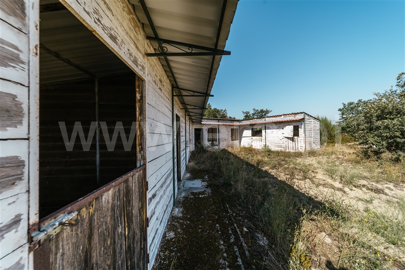 Terreno  Belmonte, Caria - 1420685 - 29