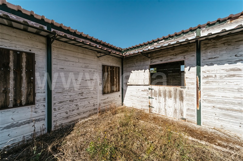 Terreno  Belmonte, Caria - 1420685 - 35
