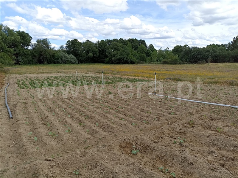 Terreno / Belmonte, Caria