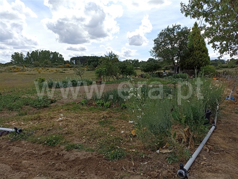 Terreno  Belmonte, Caria - 601990 - 5
