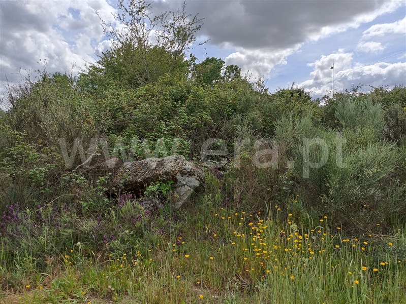 Terreno  Belmonte, Caria - 601990 - 13