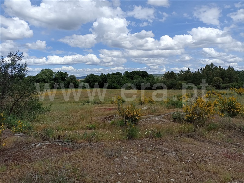 Terreno  Belmonte, Caria - 601990 - 14