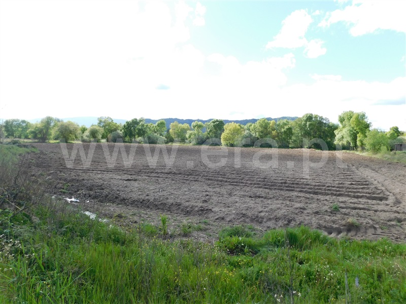 Terreno / Belmonte, Carvalhal Formoso