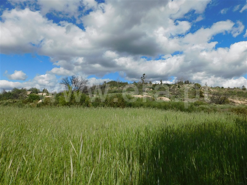 Terreno  Belmonte, Carvalhal Formoso - 1244487 - 15