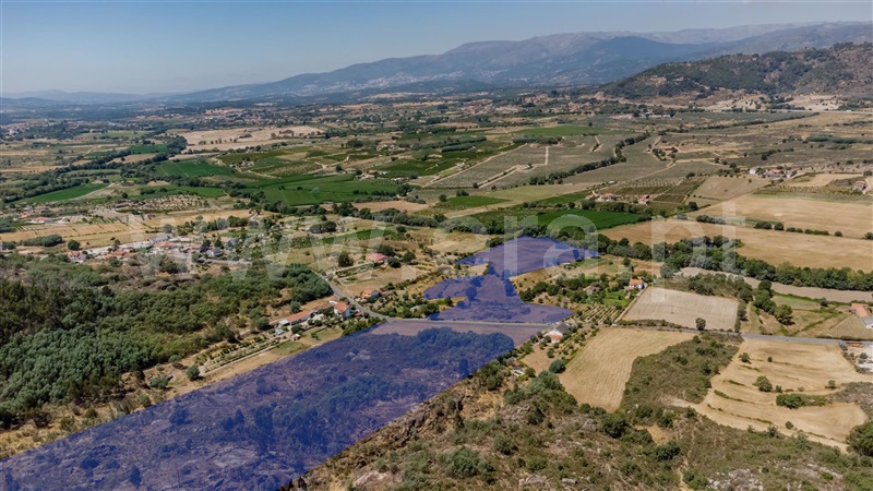 Terreno / Belmonte, Carvalhal Formoso