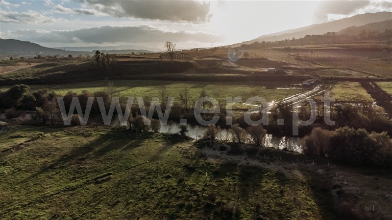 Terreno  com Agrícola Belmonte, Colmeal da Torre - 1369439 - 1