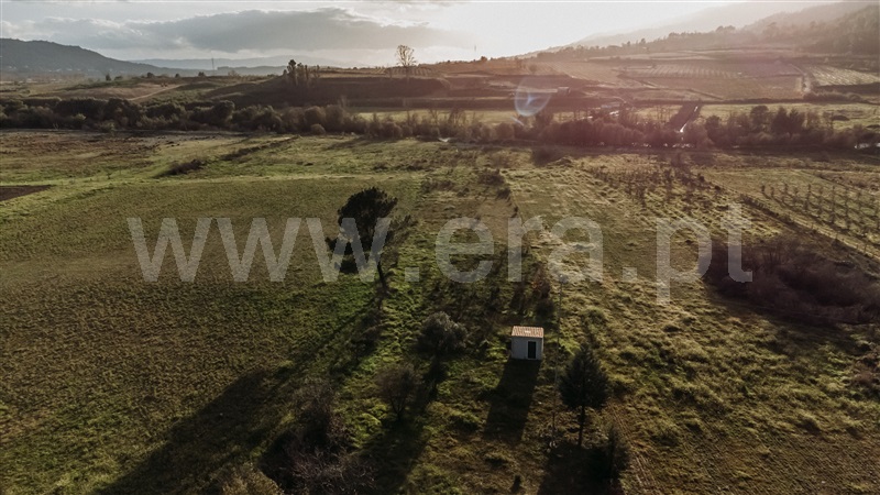 Terreno  com Agrícola Belmonte, Colmeal da Torre - 1369439 - 3