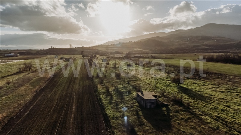 Terreno  com Agrícola Belmonte, Colmeal da Torre - 1369439 - 4