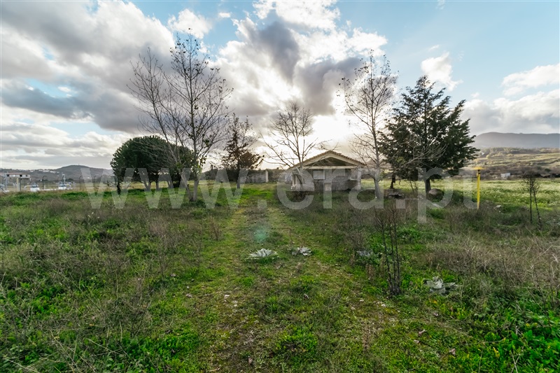 Terreno  com Agrícola Belmonte, Colmeal da Torre - 1369439 - 11