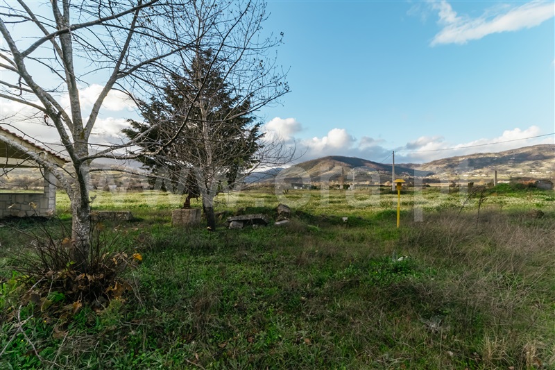 Terreno  com Agrícola Belmonte, Colmeal da Torre - 1369439 - 14
