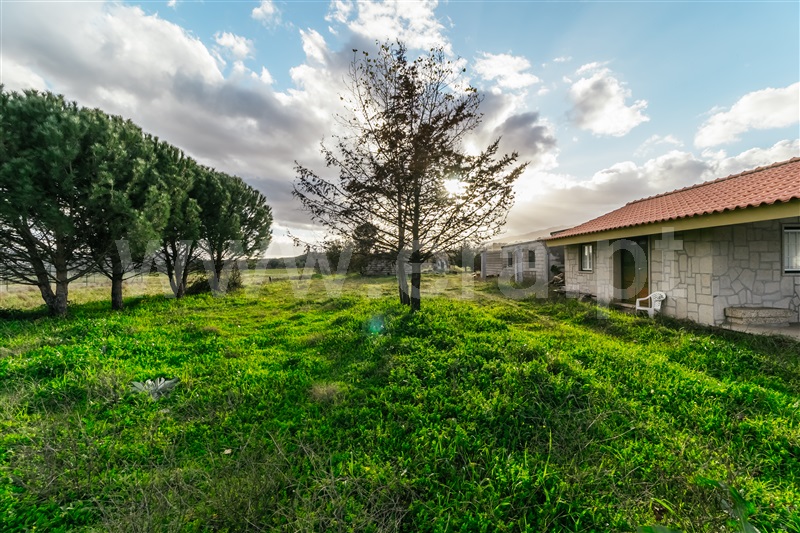 Terreno / Belmonte, Colmeal da Torre