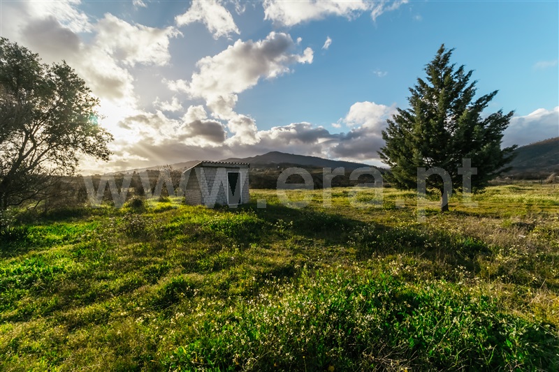 Terreno  com Agrícola Belmonte, Colmeal da Torre - 1369439 - 23