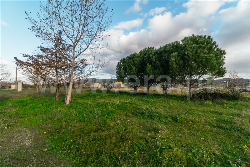 Terreno  com Agrícola Belmonte, Colmeal da Torre - 1369439 - 25