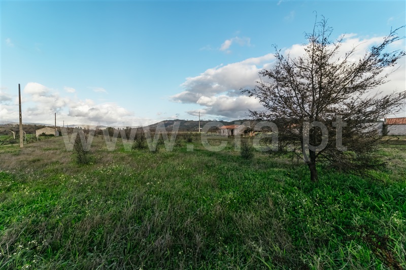 Terreno  com Agrícola Belmonte, Colmeal da Torre - 1369439 - 33