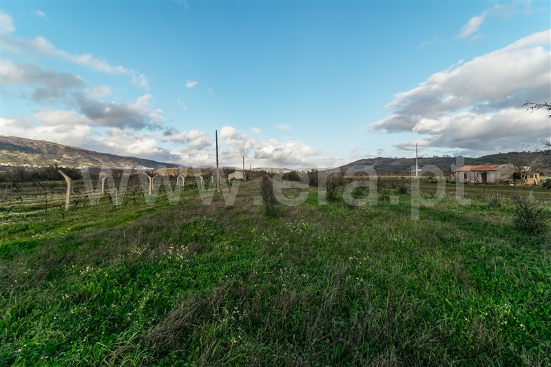 Terreno  com Agrícola Belmonte, Colmeal da Torre - 1369439 - 34