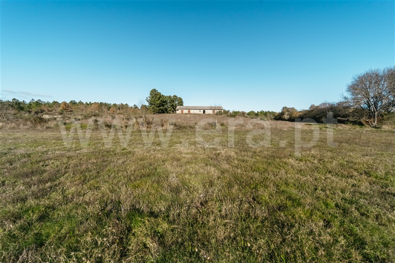 Terreno  Belmonte, Inguias - 1449575 - 8