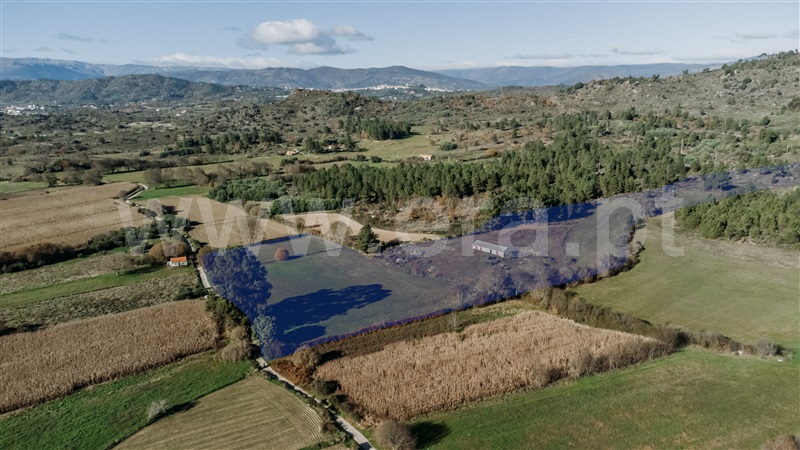 Terreno / Belmonte, Inguias