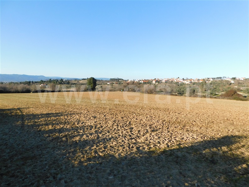 Terreno / Belmonte, Monte do Bispo
