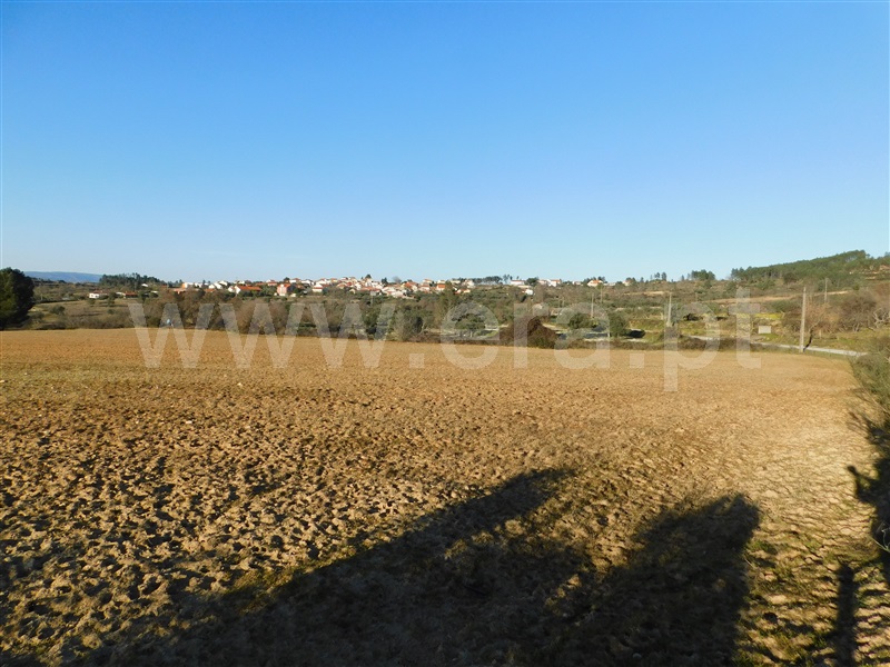 Quinta  Belmonte, Caria - 231769 - 2