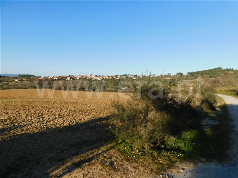 Quinta  Belmonte, Caria - 231769 - 3