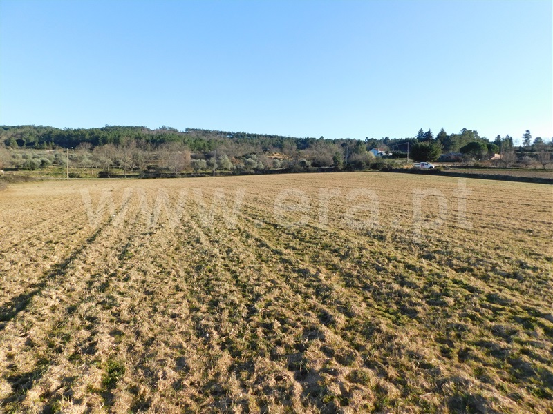Quinta  Belmonte, Caria - 231769 - 5