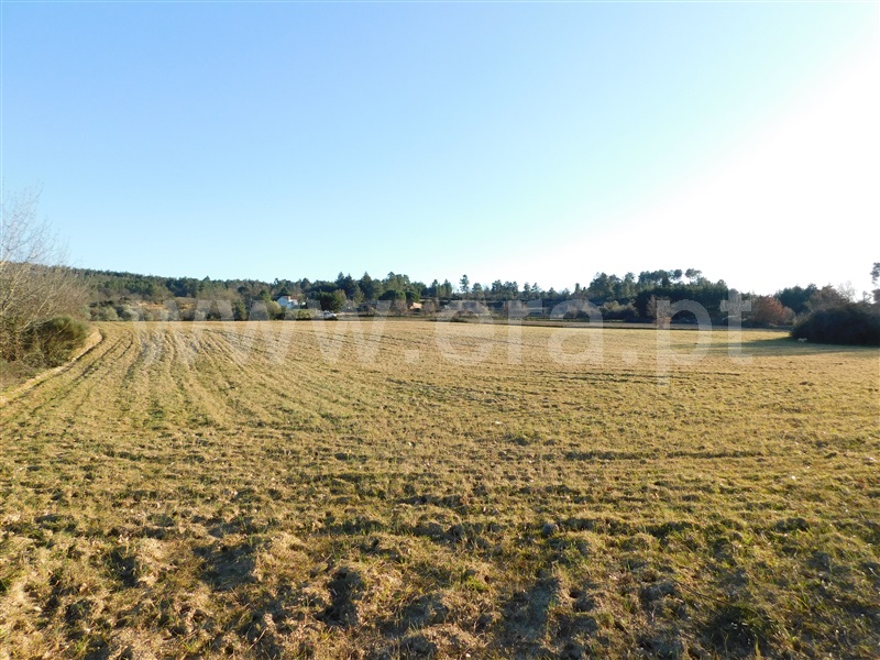Quinta  Belmonte, Caria - 231769 - 6