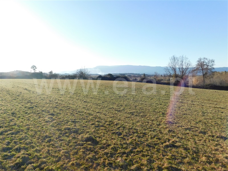 Quinta  Belmonte, Caria - 231769 - 7