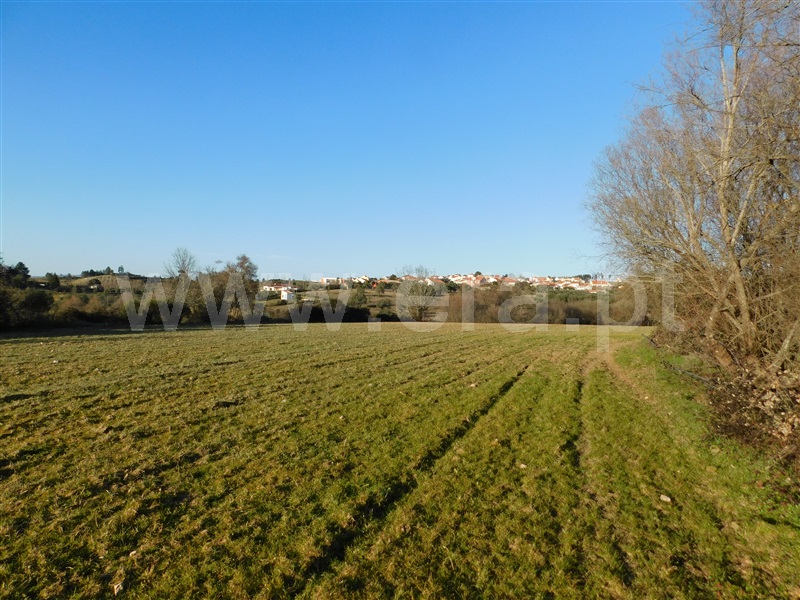 Quinta  Belmonte, Caria - 231769 - 9
