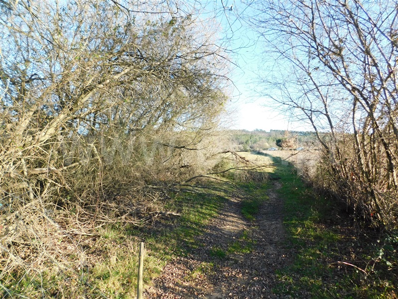 Quinta  Belmonte, Caria - 231769 - 10