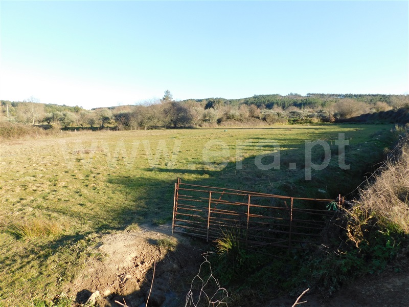 Quinta  Belmonte, Caria - 231769 - 12
