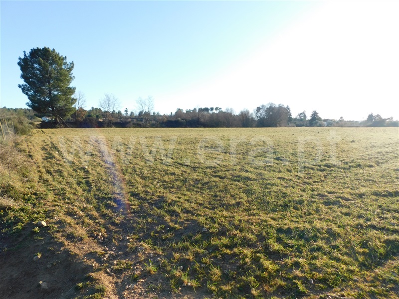 Quinta  Belmonte, Caria - 231769 - 13