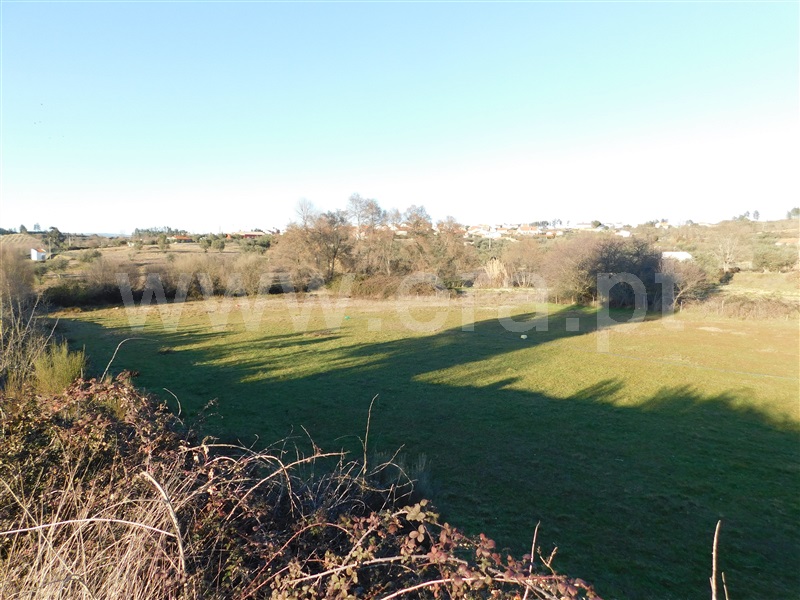 Quinta  Belmonte, Caria - 231769 - 14