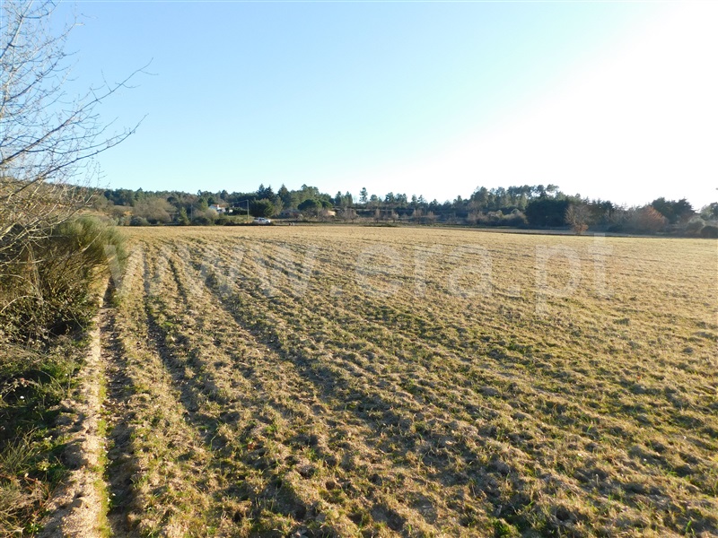 Quinta  Belmonte, Caria - 231769 - 15