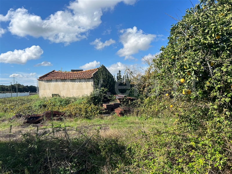 Terreno  Benavente, Benavente - 1438020 - 18