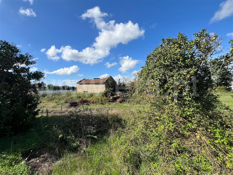 Terreno  Benavente, Benavente - 1438020 - 19