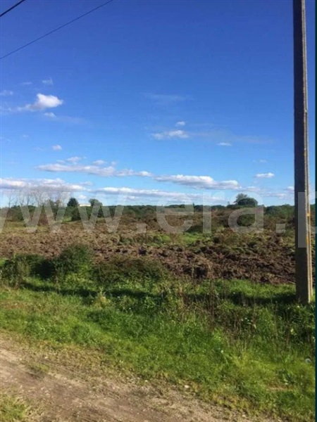 Terreno / Benavente, Benavente