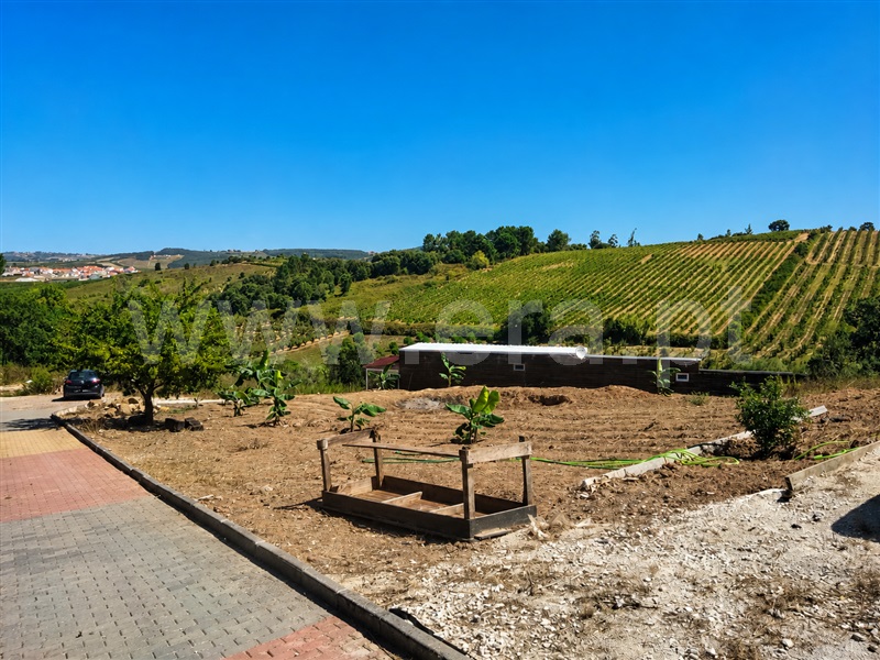 Terreno / Bombarral, Bombarral e Vale Covo