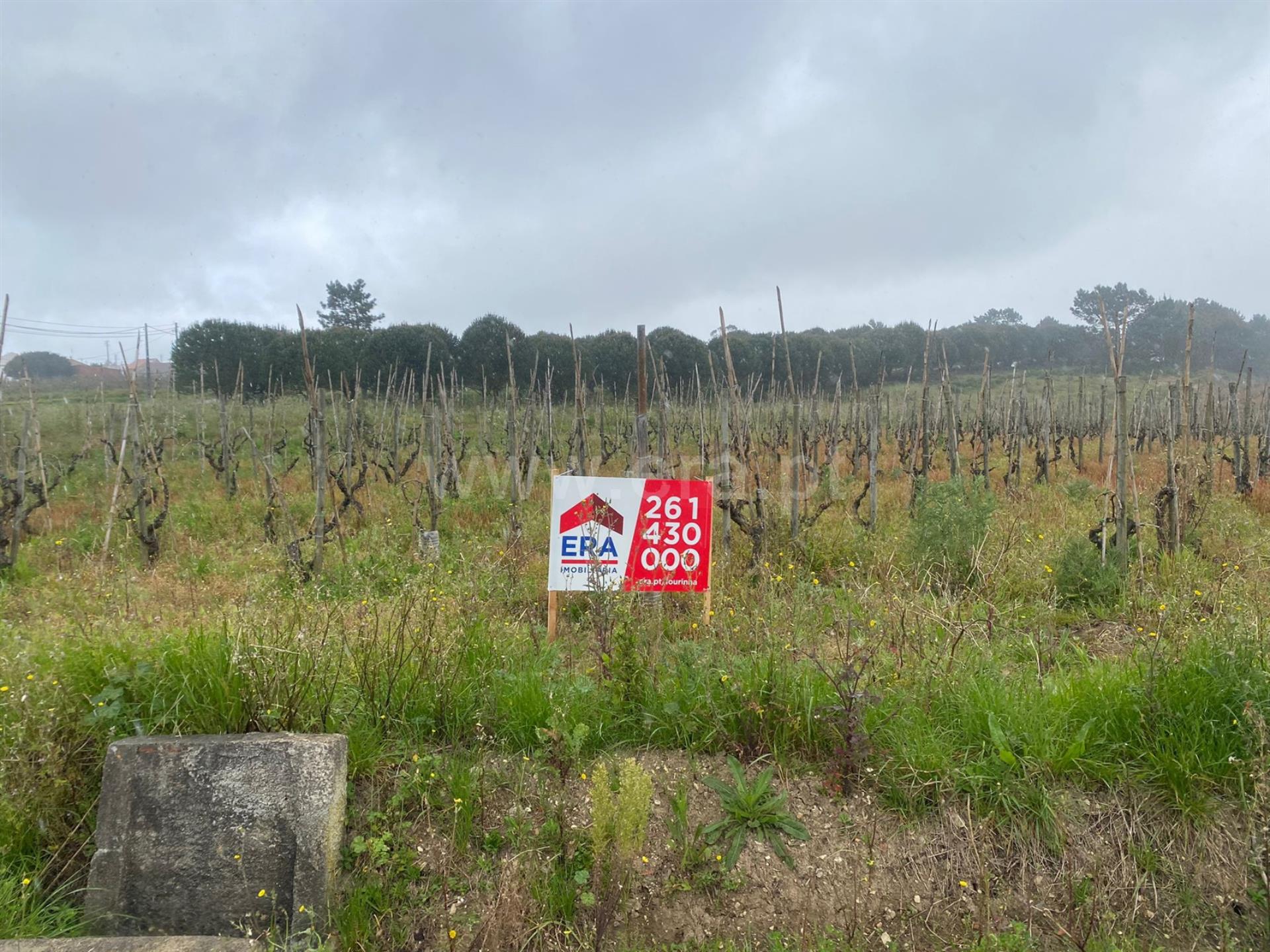 Land for sale in Bombarral, Portugal — €95,000