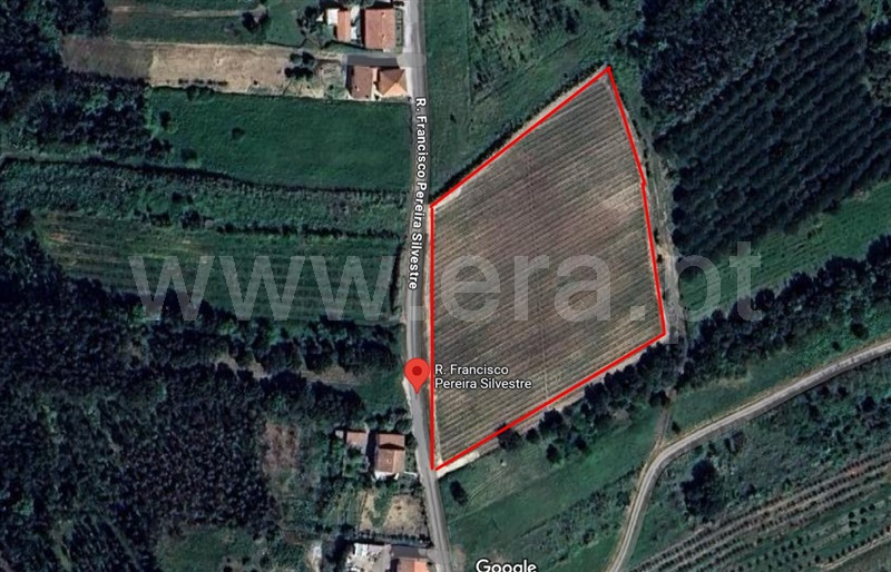 Terreno  Bombarral, Salgueiro - 1453539 - 1