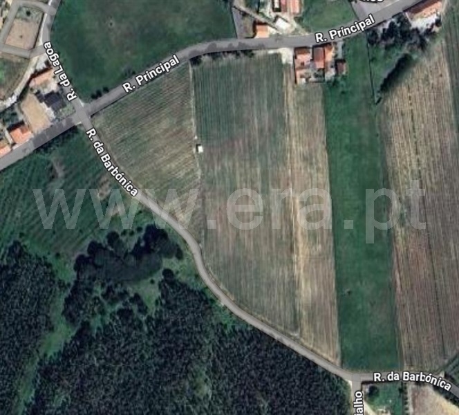Terreno  Bombarral, Salgueiro - 1453541 - 1