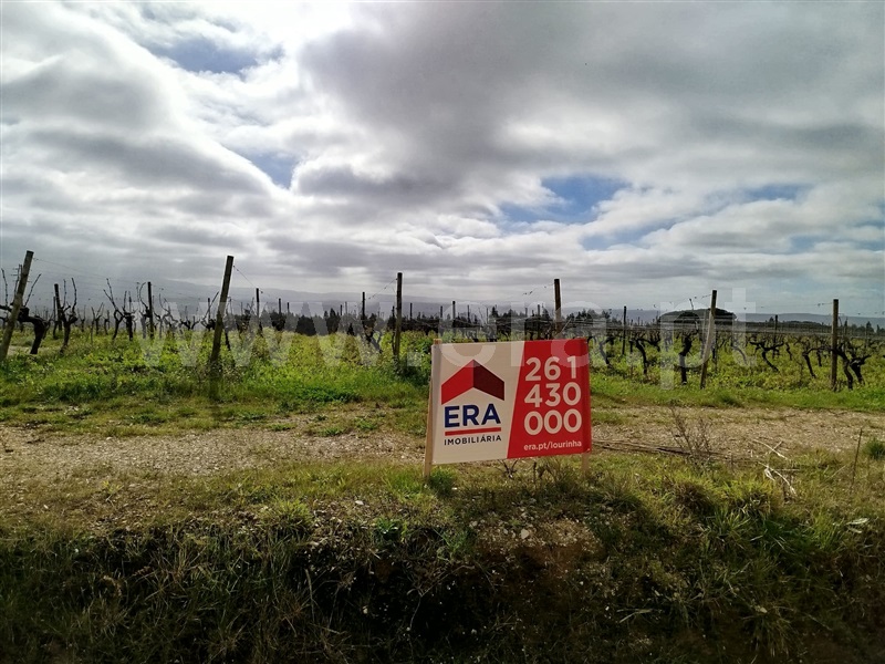 Terreno Rústico  Bombarral, Salgueiro - 1453541 - 11