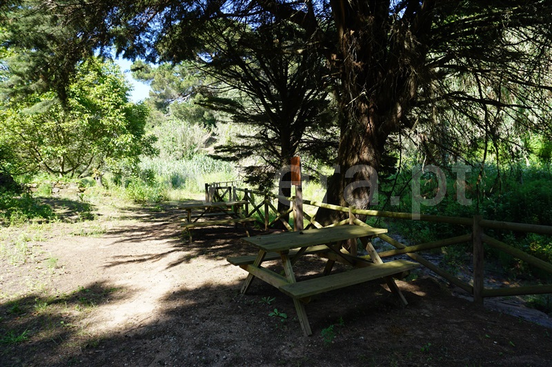 Terreno  Bombarral, Carvalhal - 1480650 - 2