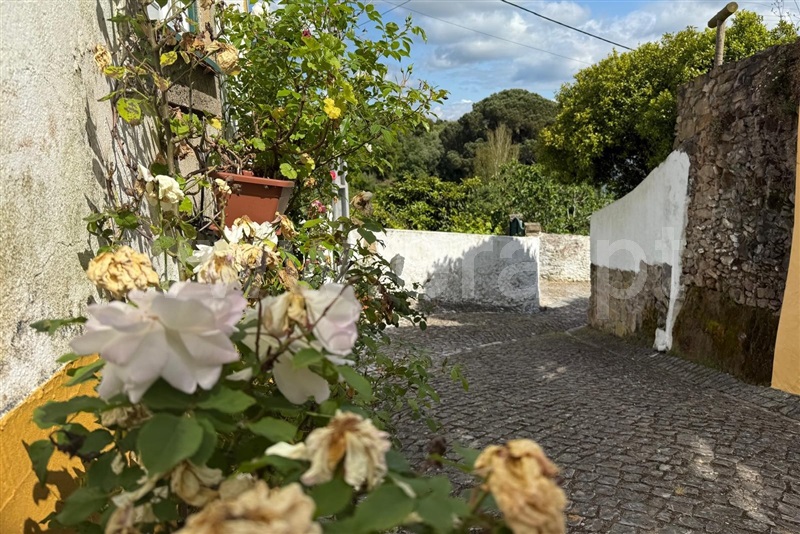Terreno  Bombarral, Carvalhal - 1480650 - 6